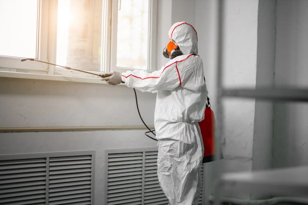Professional mold remediation services in Sister Bay, WI